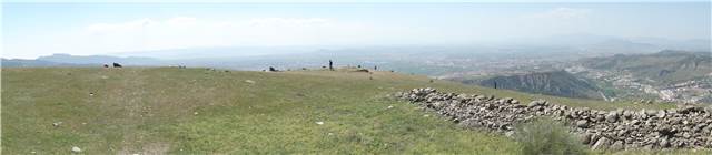 DSC08429.JPG